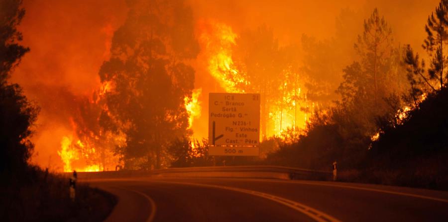 Al menos 19 muertos en un incendio declarado en el centro de Portugal (horizontal-x3)