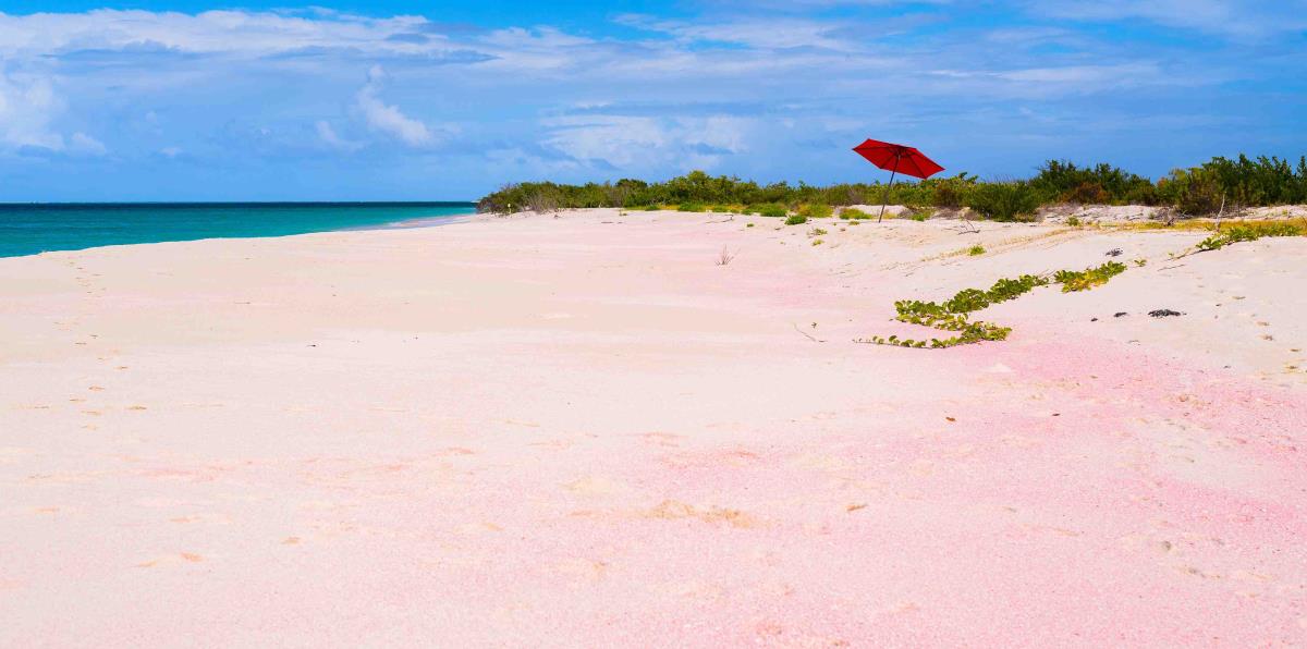 9 Playas Con Arena Rosa Que No Sabias Que Existian El Nuevo Dia