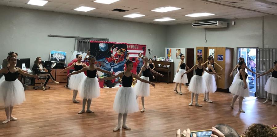 La escuela especializada cuenta con el programa académico regular desde 5to hasta 12mo grado, en el cual ha sido catalogado por el Departamento de Educación, bajo la clasificación A por la excelencia académica demostrada por sus estudiantes. (horizontal-x3)