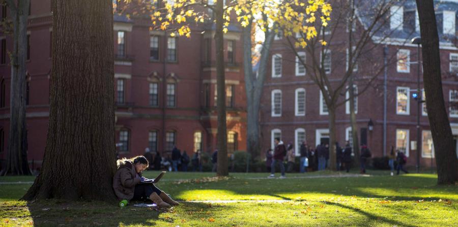Campus de la universidad de Harvard, en Cambridge. (EFE) (horizontal-x3)