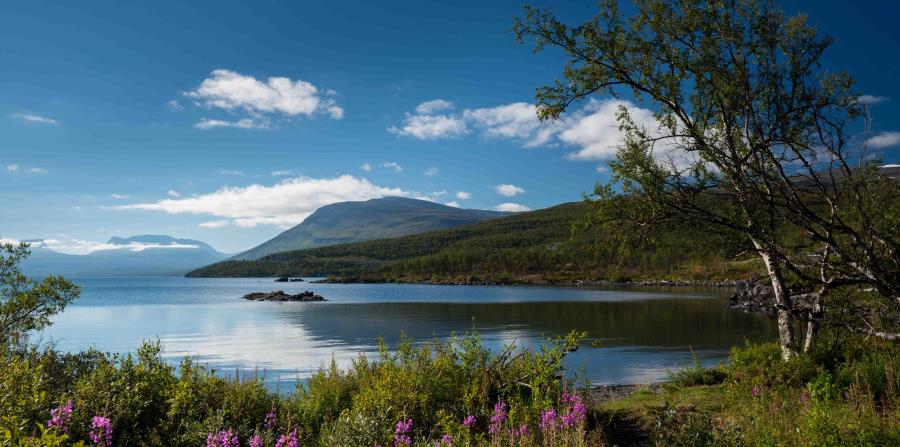 Estos son los 10 países más felices del mundo en el 2017 | El Nuevo Día