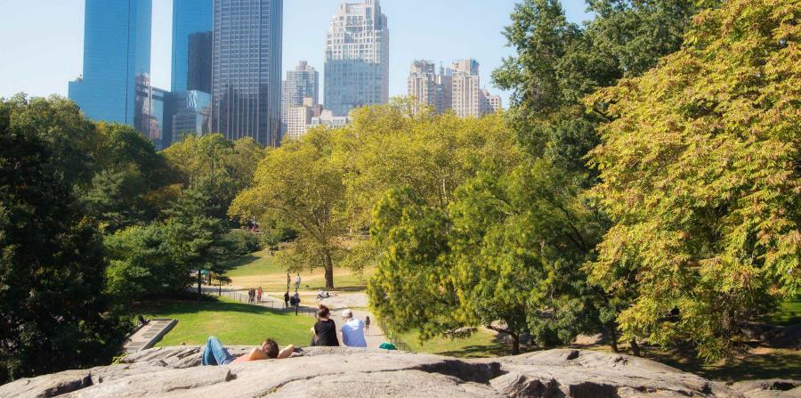Unos 42 millones de personas visitan anualmente el Central Park. (horizontal-x3)