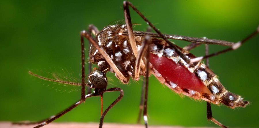 Siguen en aumento los casos de zika en el país (horizontal-x3)