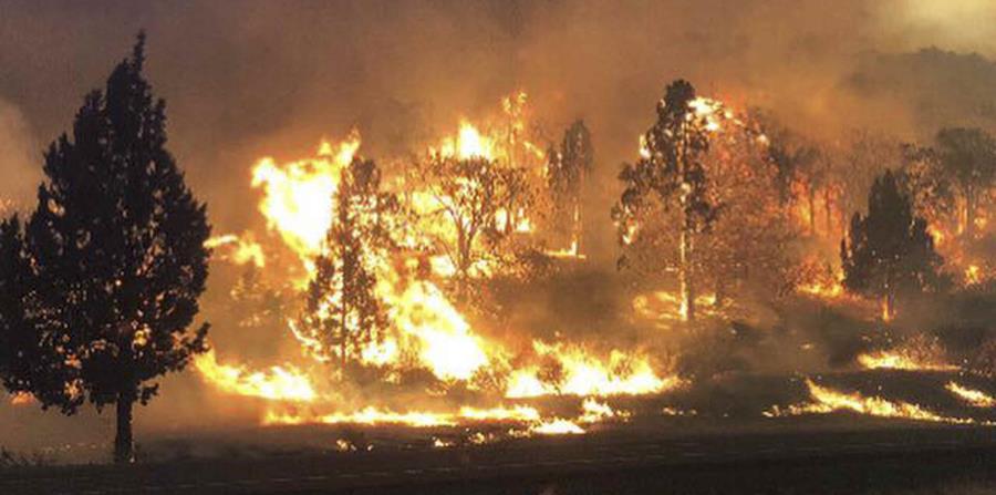 Uno de los incendios que batallan las autoridades se ha propagado cerca de la frontera con el estado de Oregon. (AP) (horizontal-x3)