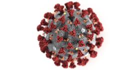 Temen que el coronavirus haya llegado a Florida