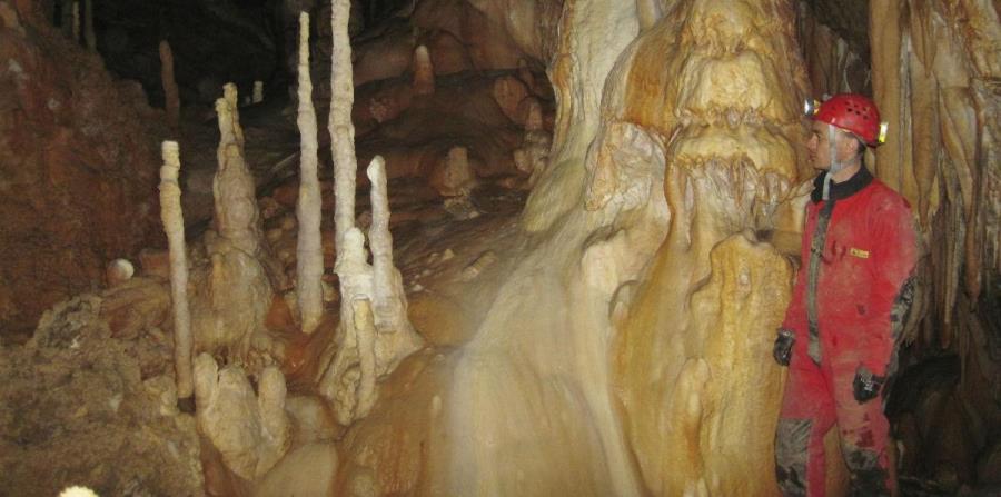 El Neandertal podría haber desaparecido debido al clima (horizontal-x3)
