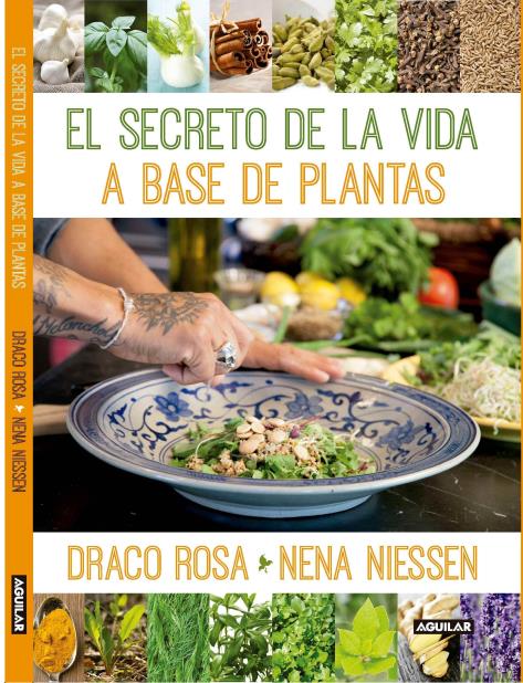 Draco Rosa debuta como escritor de libros (vertical-x1)