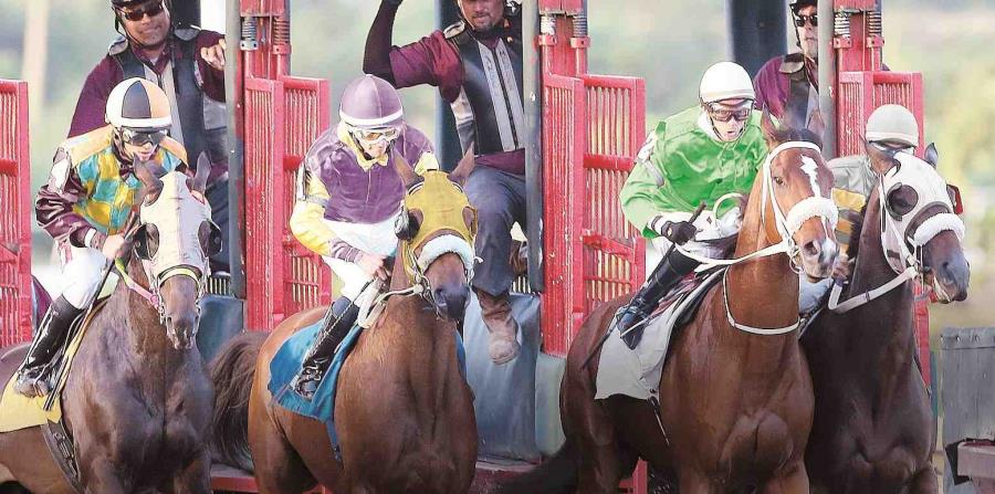 Una carrera de caballos en el hipódromo Camarero (horizontal-x3)