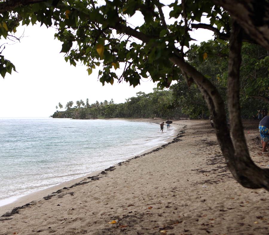 El hallazgo ocurrió entre la Playa Buyé y Villa Lamela en Cabo Rojo. (GFR Media) (semisquare-x3)