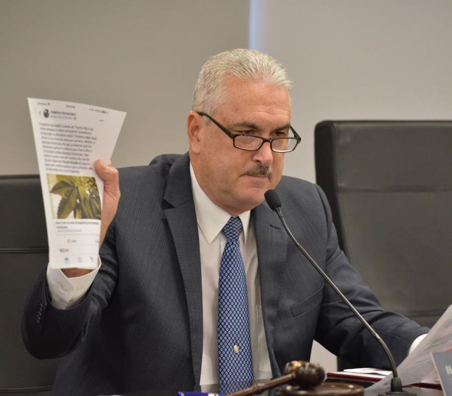 Thomas Rivera Shchatz, presidente del Senado, criticó a quienes buscan lucrarse del cannabis medicinal sin seguir los debidos procesos de ley. (Suministrada) (semisquare-x3)