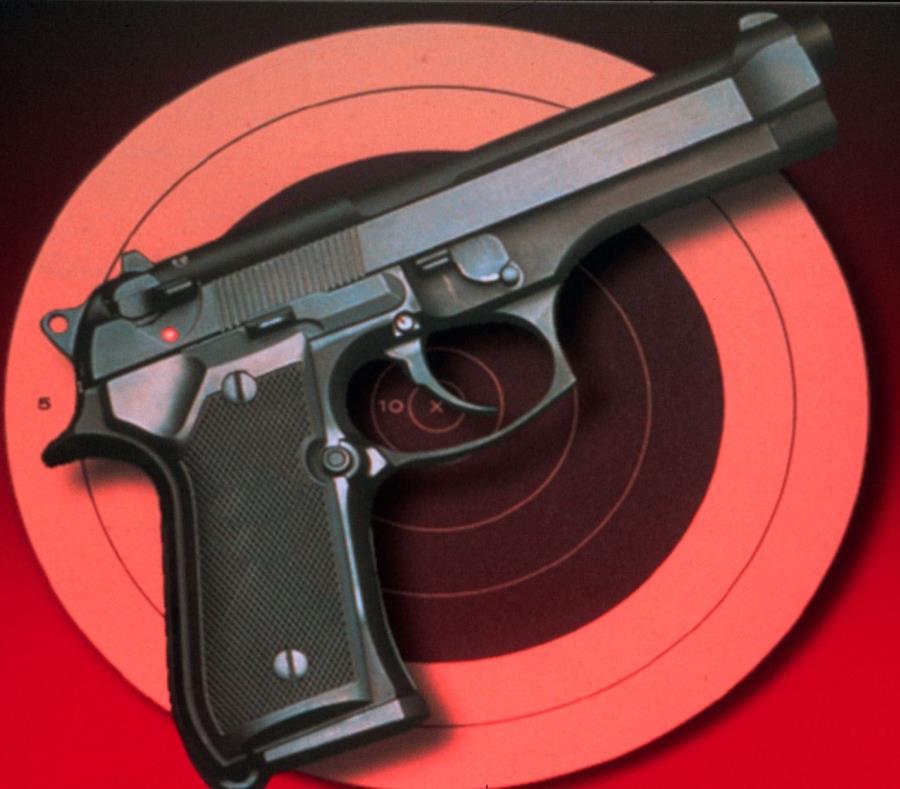 Tantas armas robadas podrían representar un peligro para la seguridad pública y para las autoridades de la ciudad. (GFR Media) (semisquare-x3)
