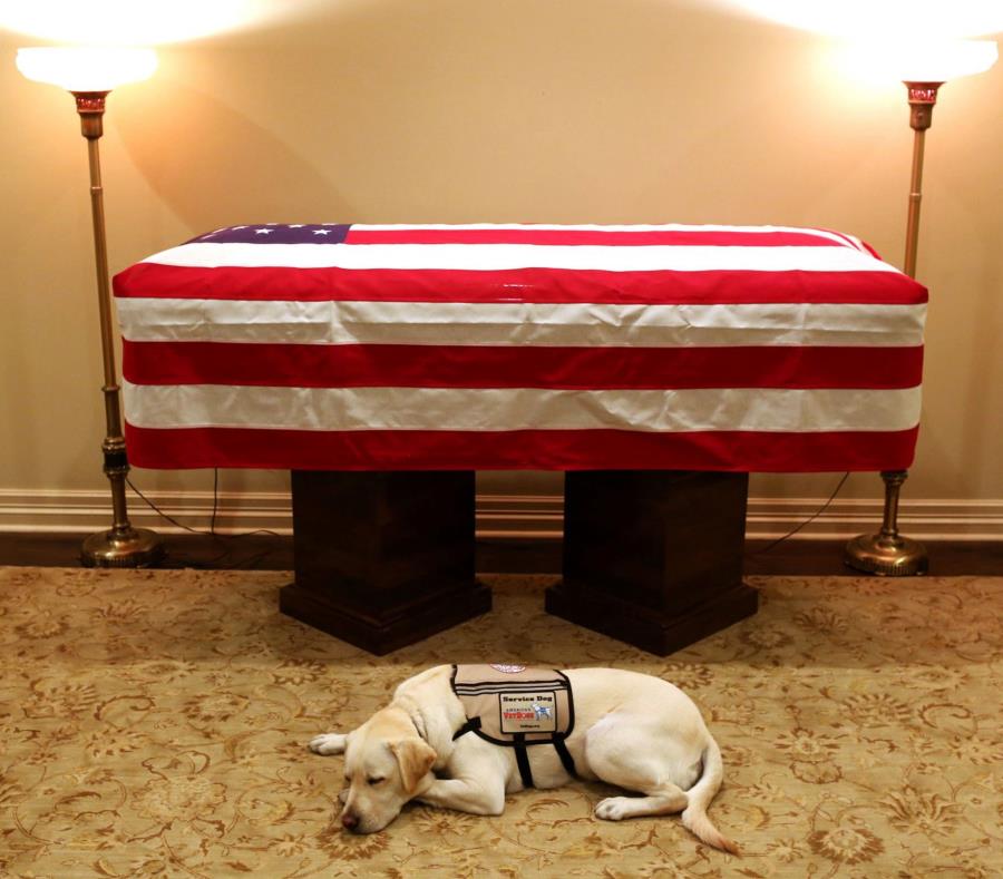 Sully permaneció acostado frente al ataúd del expresidente Bush. (AP) (semisquare-x3)