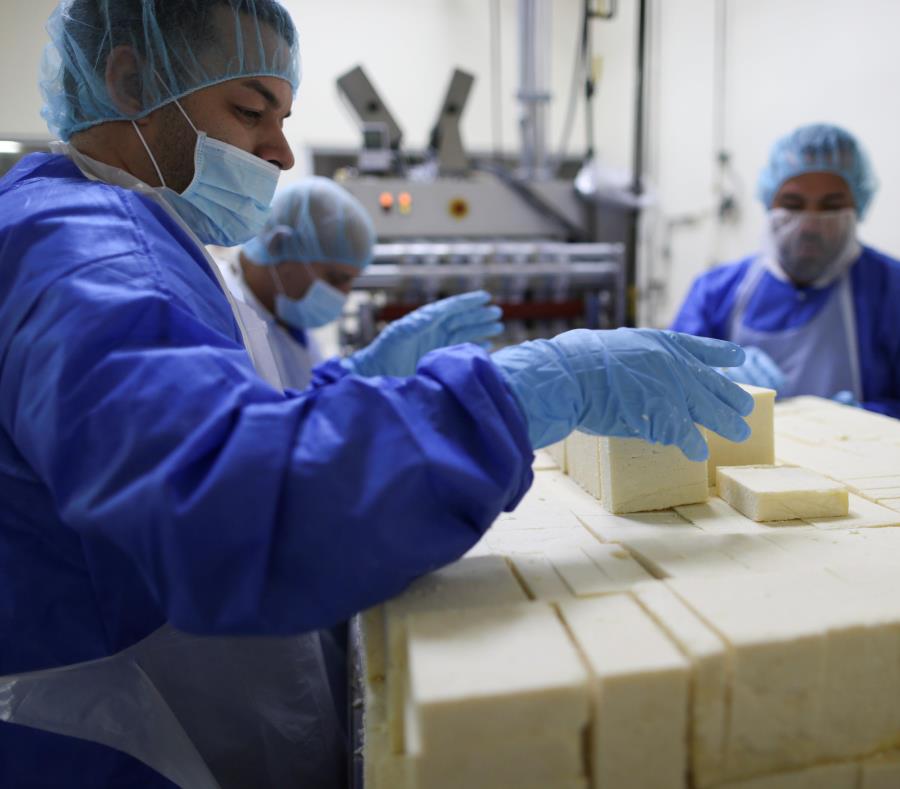 El queso blanco del país Indulac está siendo exportado a los mercados de Nueva York y Florida. (semisquare-x3)