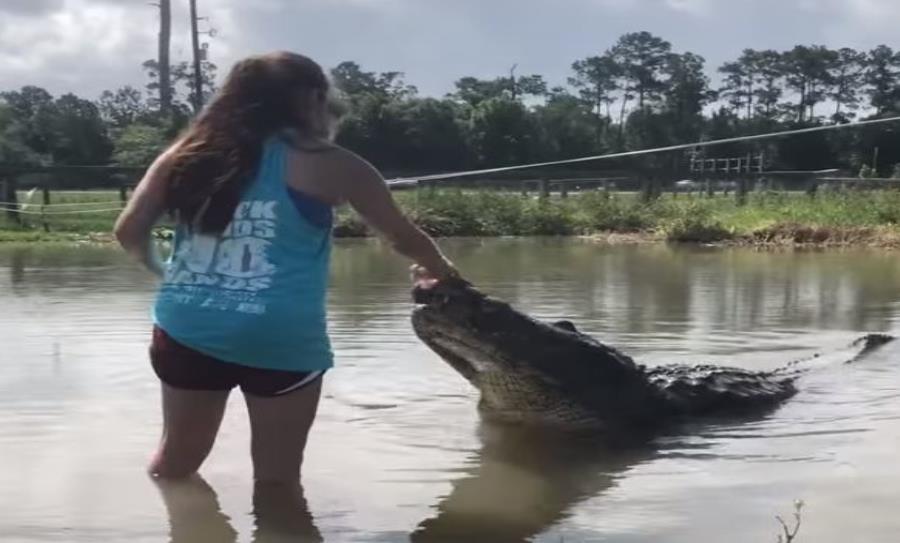 La joven se metió al agua para darle de comer al cocodrilo. (Captura del vídeo / ViralHog) (semisquare-x3)