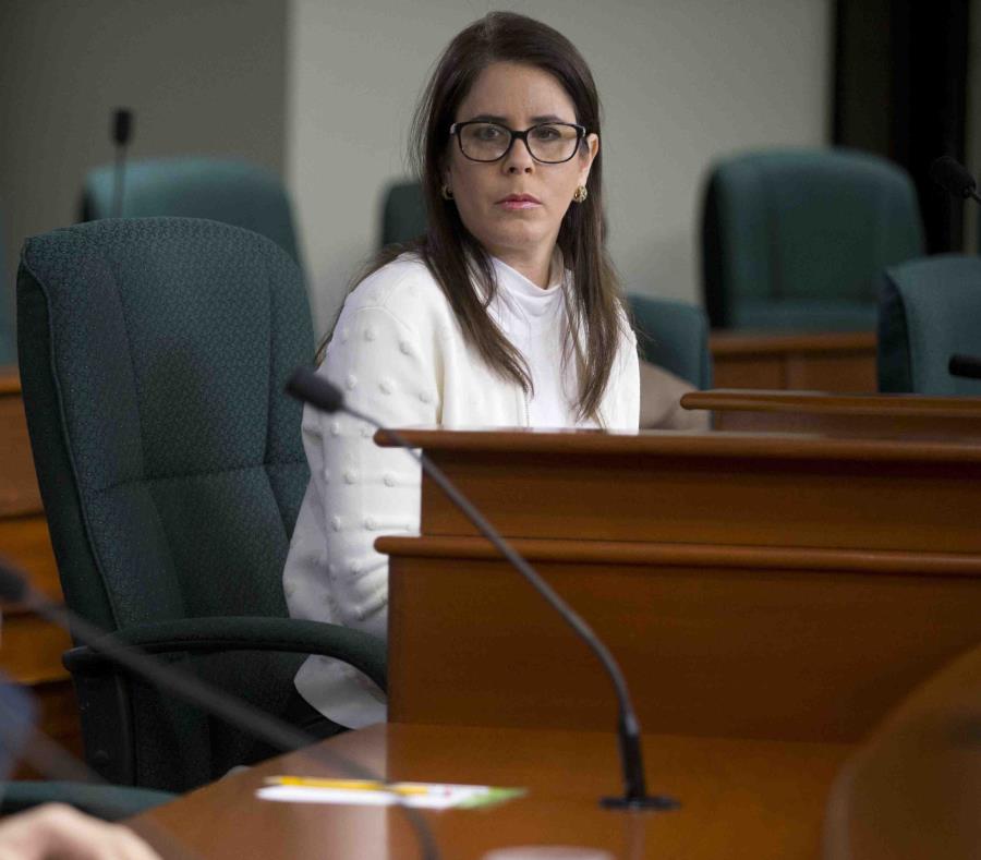Brenda López de Arrarás está a cargo del PPD ante la ausencia del presidente, Héctor Ferrer. (semisquare-x3)