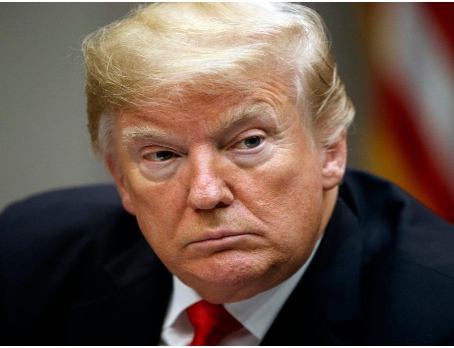 Descubren un anfibio ciego y es bautizado con el nombre de Donald Trump (semisquare-x3)