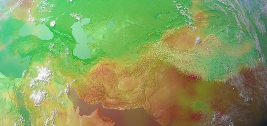 El estudio utiliza la monitorización en satélites para medir la fluorescencia de la clorofila inducida por el sol, un subproducto de la fotosíntesis en las hojas. (horizontal-x3)