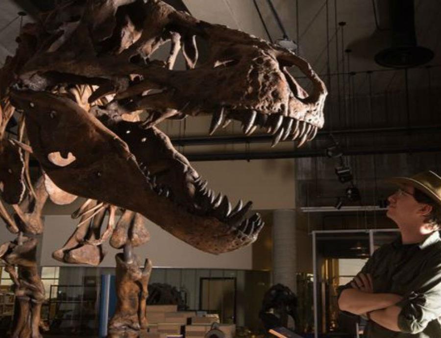 El esqueleto de este tiranosaurio data de hace 66 millones de años. (semisquare-x3)