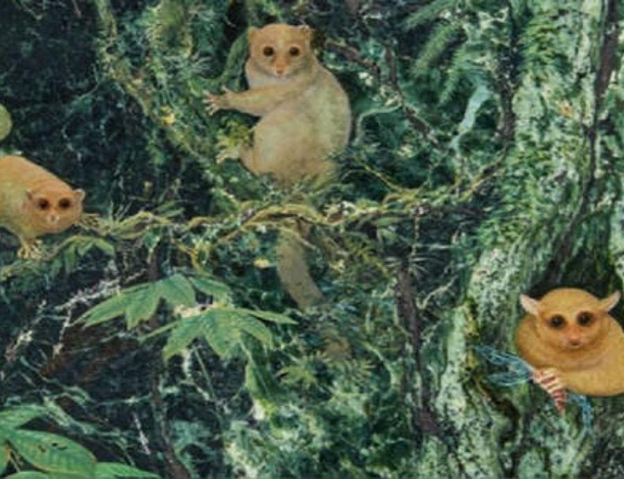 Descubren rastros de 3 especies de primates extintas hace 40 millones de años (semisquare-x3)