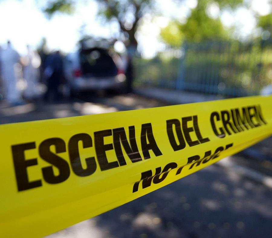 Hasta el sábado, y de acuerdo a las cifras del Negociado 546 homicidios has sido reportados en Puerto Rico. (semisquare-x3)