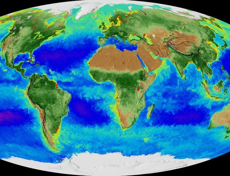 ¿Cómo ocurrió la mayor extinción en la historia de la Tierra? (semisquare-x3)