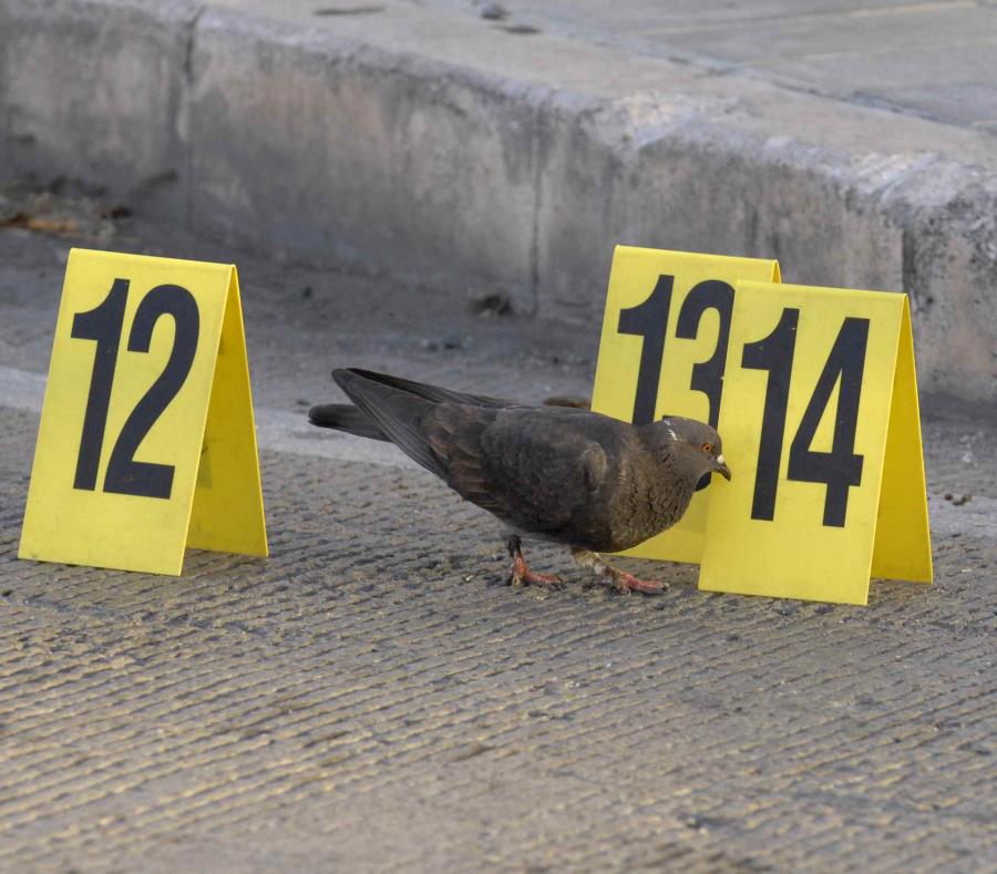 Las autoridades investigan el asesinato. (semisquare-x3)