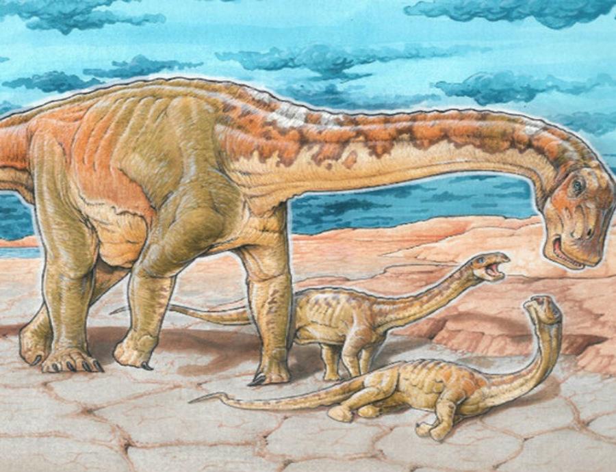 Descubren en Argentina los restos de un dinosaurio que era desconocido (semisquare-x3)