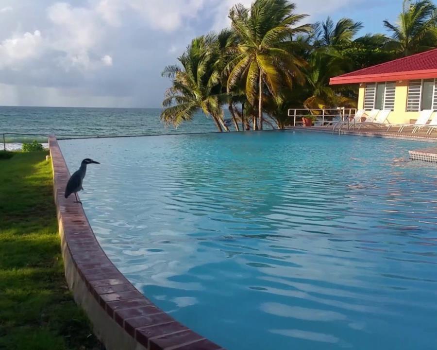 Paradores De Puerto Rico Ofertas Todo Incluido Ofertas especiales en los Paradores de Puerto Rico | El Nuevo Día