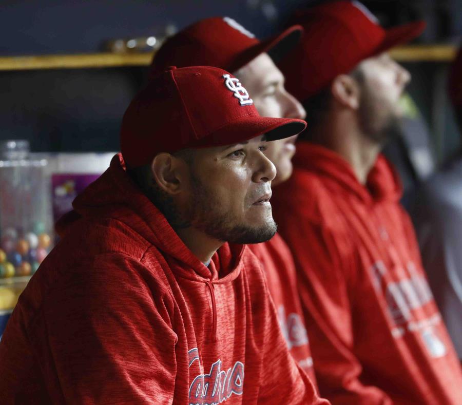 Yadier Molina observa un partido desde el dugout de los Cardenales el pasado viernes. (AP) (semisquare-x3)