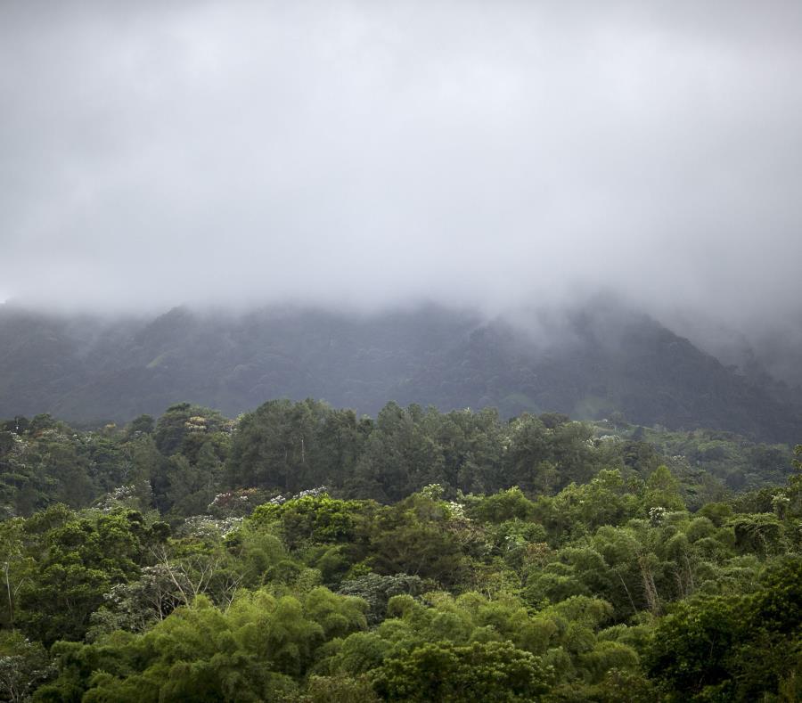 clima santa fe por hora