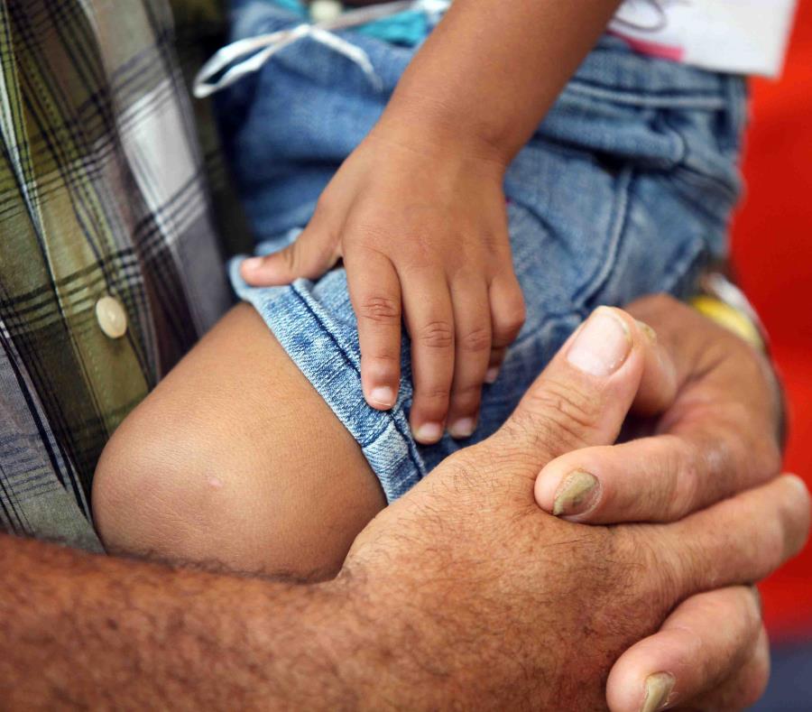 Familia tiene bajo su custodia unos 3,000 menores. (semisquare-x3)