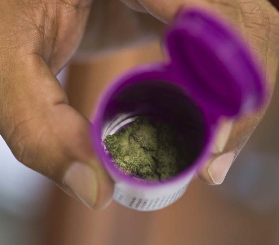 La Asociación de los Miembros de la Industria de Cannabis Medicinal de Puerto Rico sostuvo que han generado unos 1,000 empleos directos y el doble de esa cantidad de forma indirecta. (semisquare-x3)