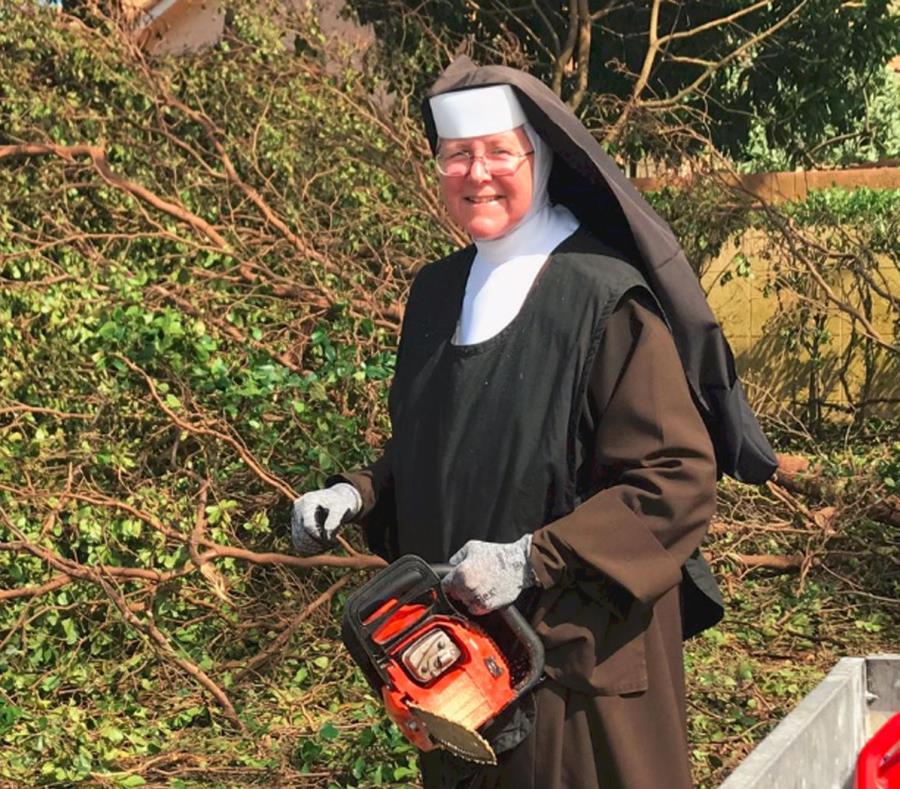 La religiosa estaba cortando los árboles para limpiar las calles próximas a la escuela secundaria Arzobispo Coleman Carrol, cerca de Miami, según la policía (semisquare-x3)