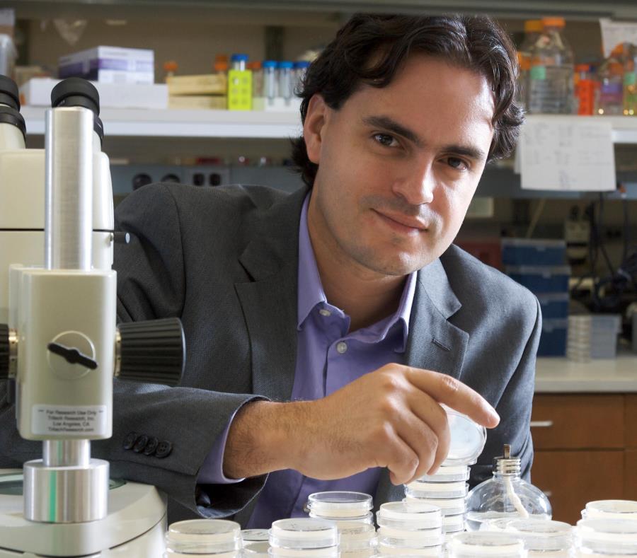 En marzo, Colón Ramos llevó todo su laboratorio a la isla, como parte de los retiros que realizan para discutir a fondo estrategias de investigación. (GFR Media) (semisquare-x3)