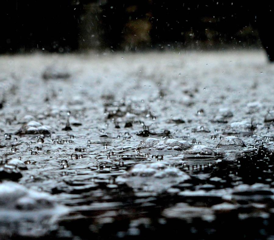 Temperaturas agradables dominarán localmente, entre los altos 60 y los bajos 80 grados Fahrenheit son pronosticados. (semisquare-x3)