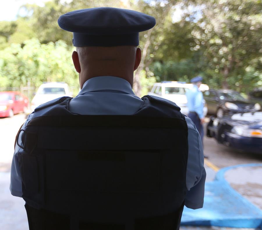 La Policía investiga el robo de los equinos. (semisquare-x3)