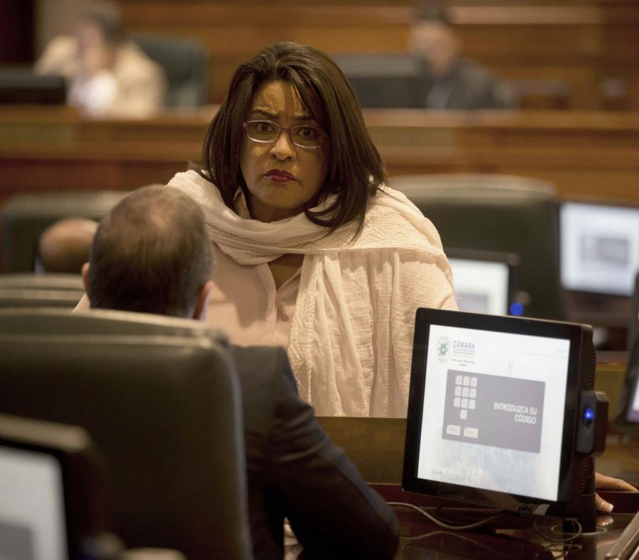 La representante María Milagros Charbonier es la autora del proyecto. (GFR Media) (semisquare-x3)