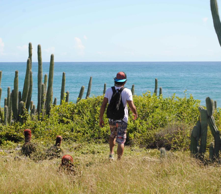El balneario se encuentra en los terrenos del bosque Seco de Guánica, arriba. (GFR Media) (semisquare-x3)