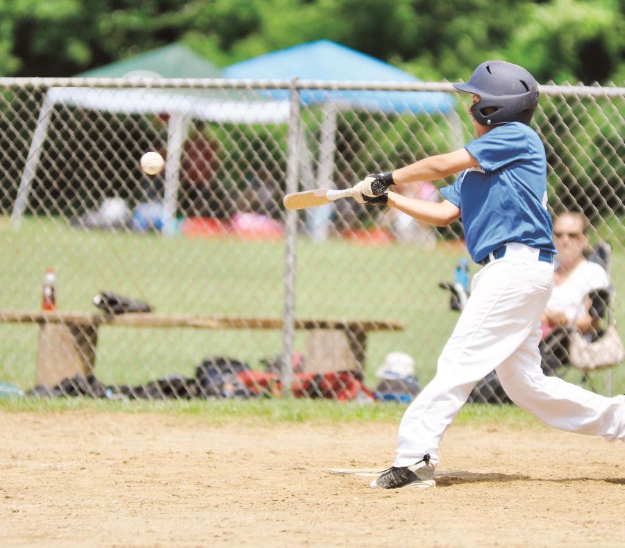 El municipio de Sabana Grande albergará el Campeonato del Caribe de Béisbol de Pequeñas Ligas en julio. (AP) (semisquare-x3)