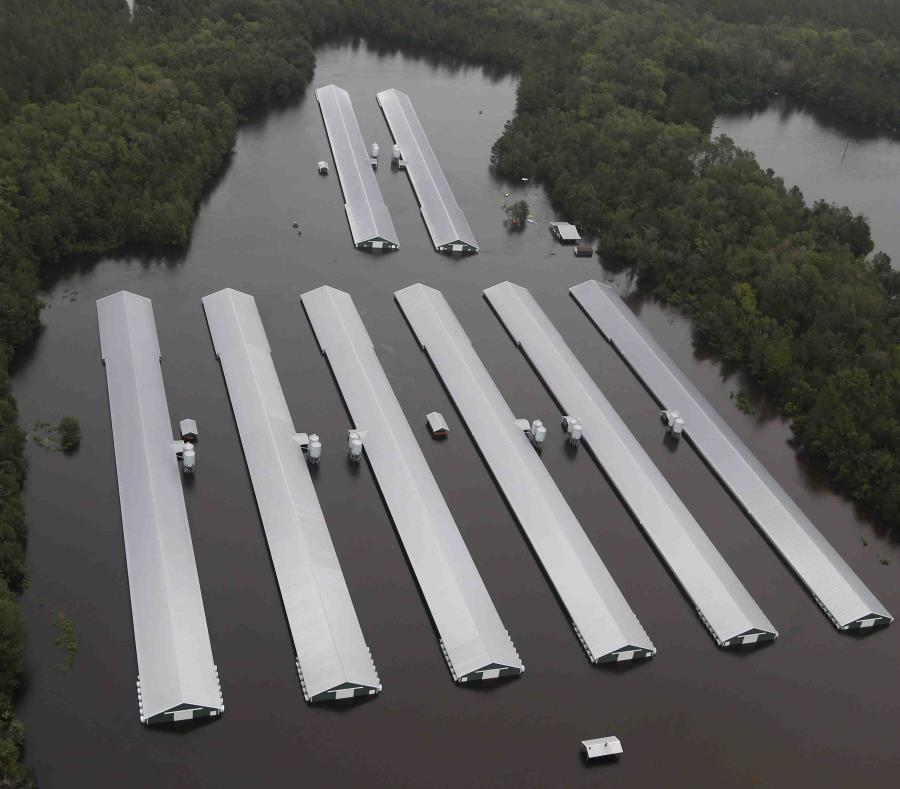 Las altas cantidades de precipitación depositadas por la tormenta tropical Florence causaron inundaciones en múltiples regiones de ambos estados. (AP / Steve Helber) (semisquare-x3)