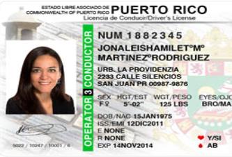 Desde hace unas semanas en las oficinas centrales de la Directoría de Servicios al Conductor se han estado ofreciendo unos talleres al personal sobre el sistema de Real ID. (GFR Media) (semisquare-x3)