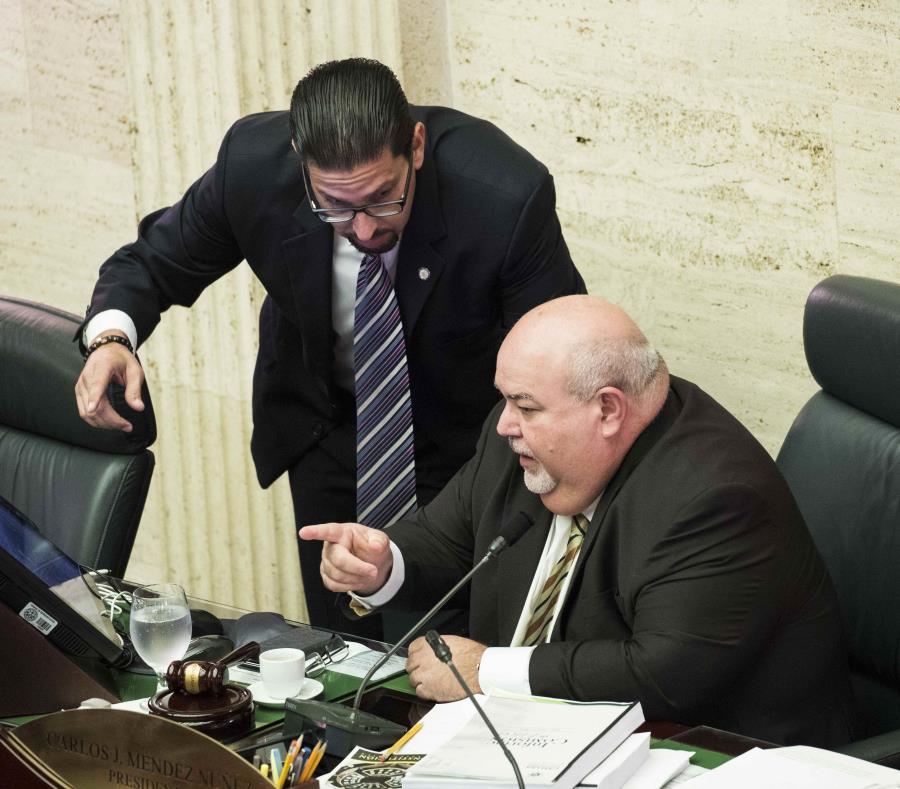 El presidente cameral Carlos