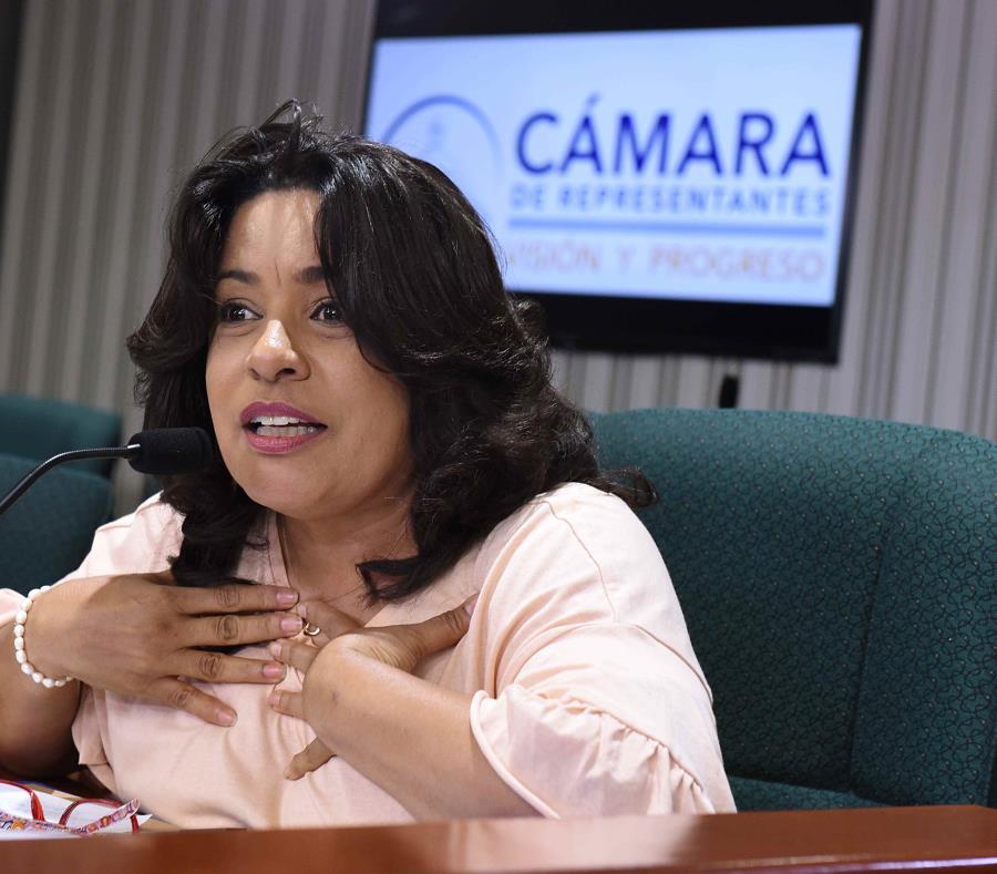 La representante Milagros Charbonier es una de las autores del proyecto. (semisquare-x3)
