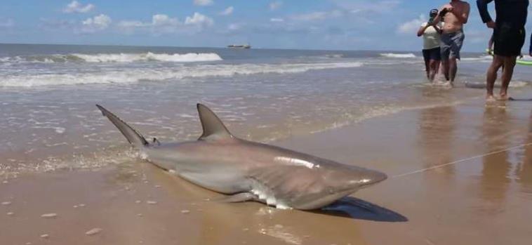 El incidente ocurrió en la isla de Galveston, por la costa de Texas en Estados Unidos. (Imagen tomada de Facebook) (horizontal-x3)