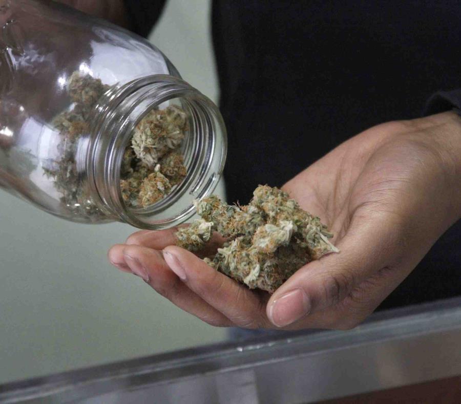 Estos recibieron sus permisos durante la convención de Puerto Rico MedCann.Biz, donde también se discutieron temas innovadores sobre tratamientos con cannabis. (AP) (semisquare-x3)