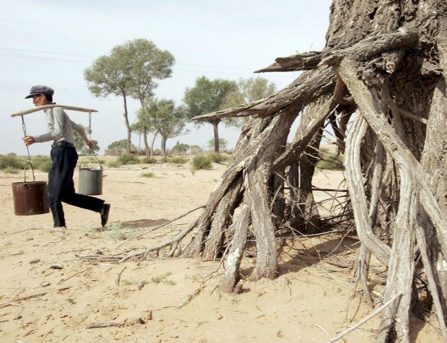cambio climático y enfermedades (semisquare-x3)