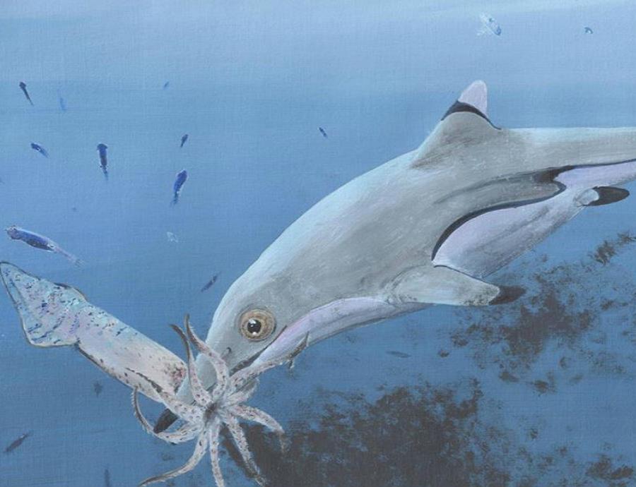 Así era el ictiosaurio la bestia marina gigante que habitó hace 200 millones de años