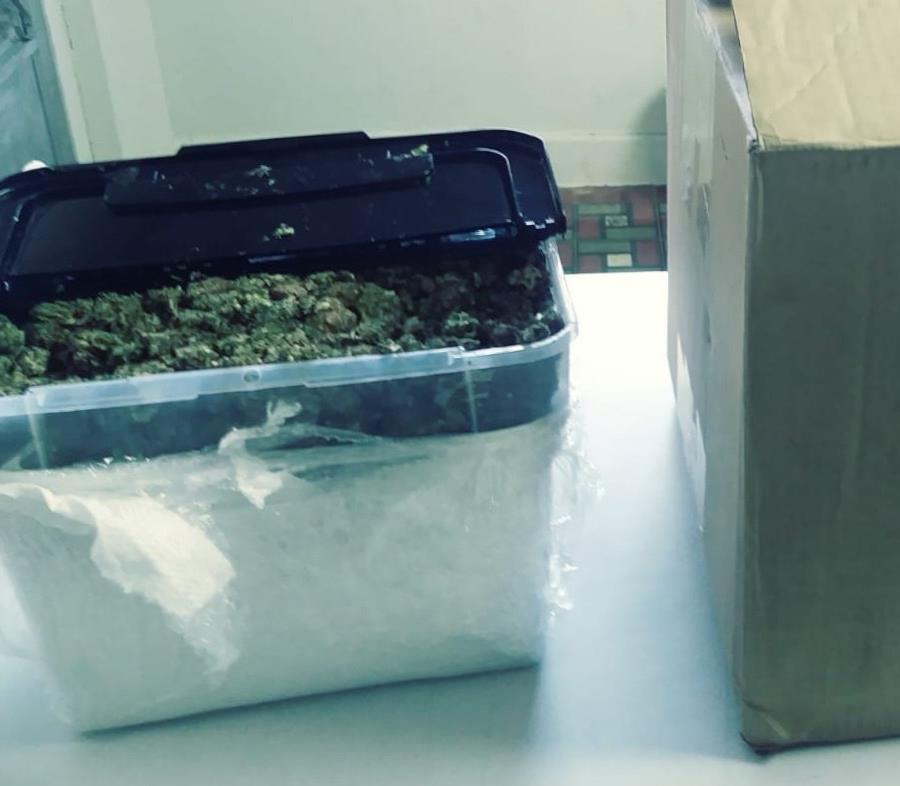 La marihuana venía guardada en una caja y envuelta en plástico. (Suministrada) (semisquare-x3)