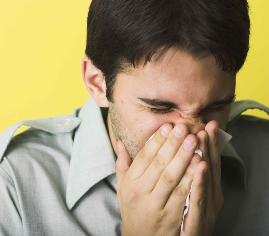 El experto indicó que muchas personas le han compartido en las redes sociales -en la página Alergia a Hongos- que se sienten enfermas o con asma. (Getty Images / Nick Schlax) (semisquare-x3)