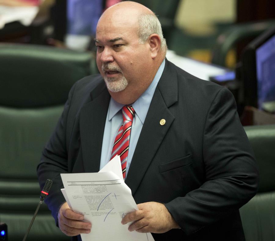 El presidente de la Cámara, Carlos